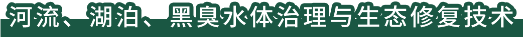 河流、湖泊、黑臭水體治理與生態(tài)修復(fù)技術(shù)